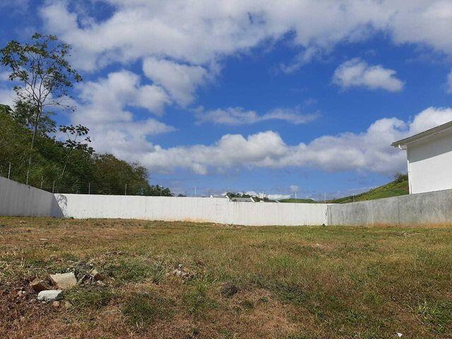 Residential Lot - Terreno Residencial en Altos de Panamá